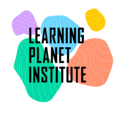 Learning planet institute